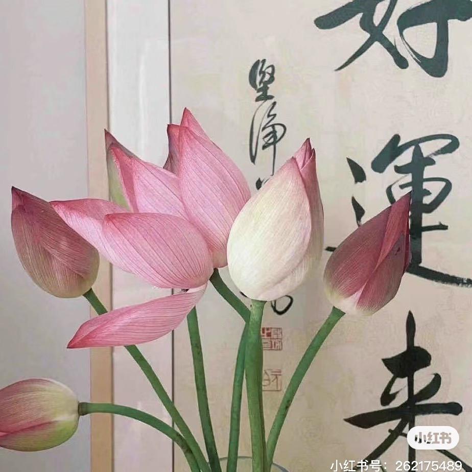 一缕阳光☀️