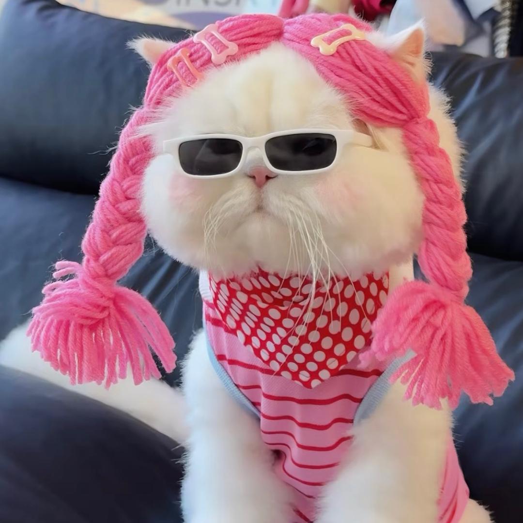仙女不讲李🧚‍♀️