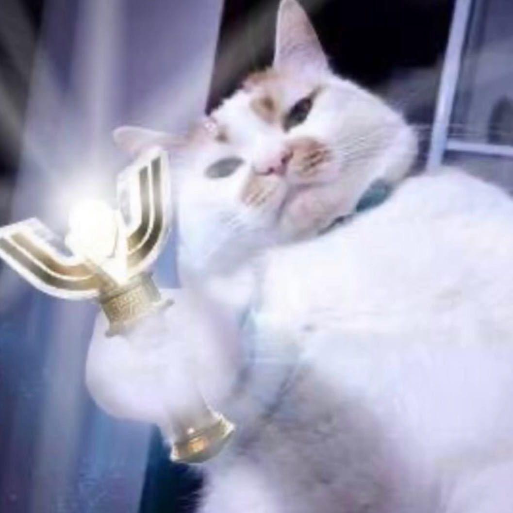 七八个娘们近不了我身