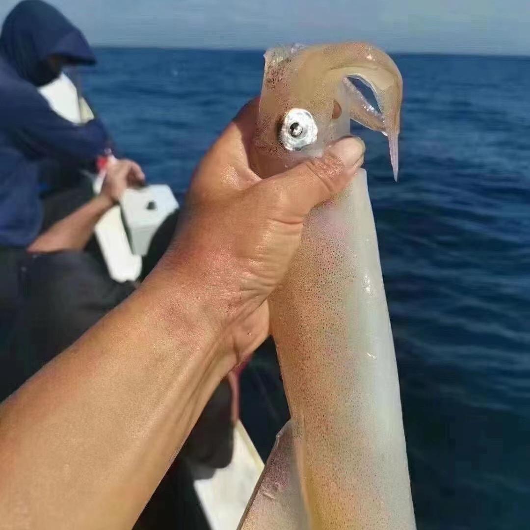 榴莲叔叔