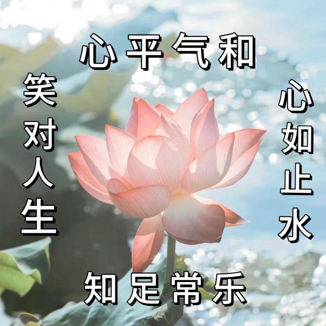 宇哥Y