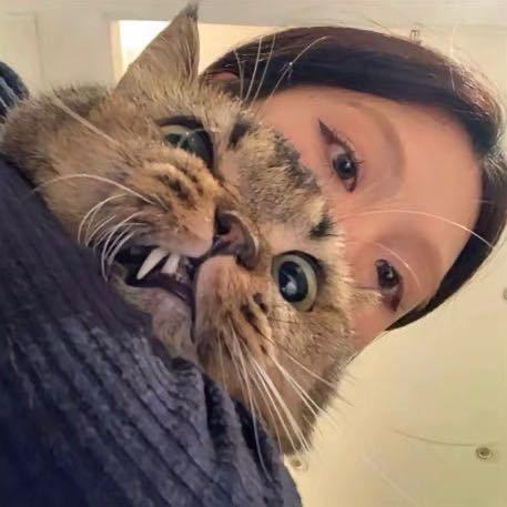 徒手抓过蟑螂