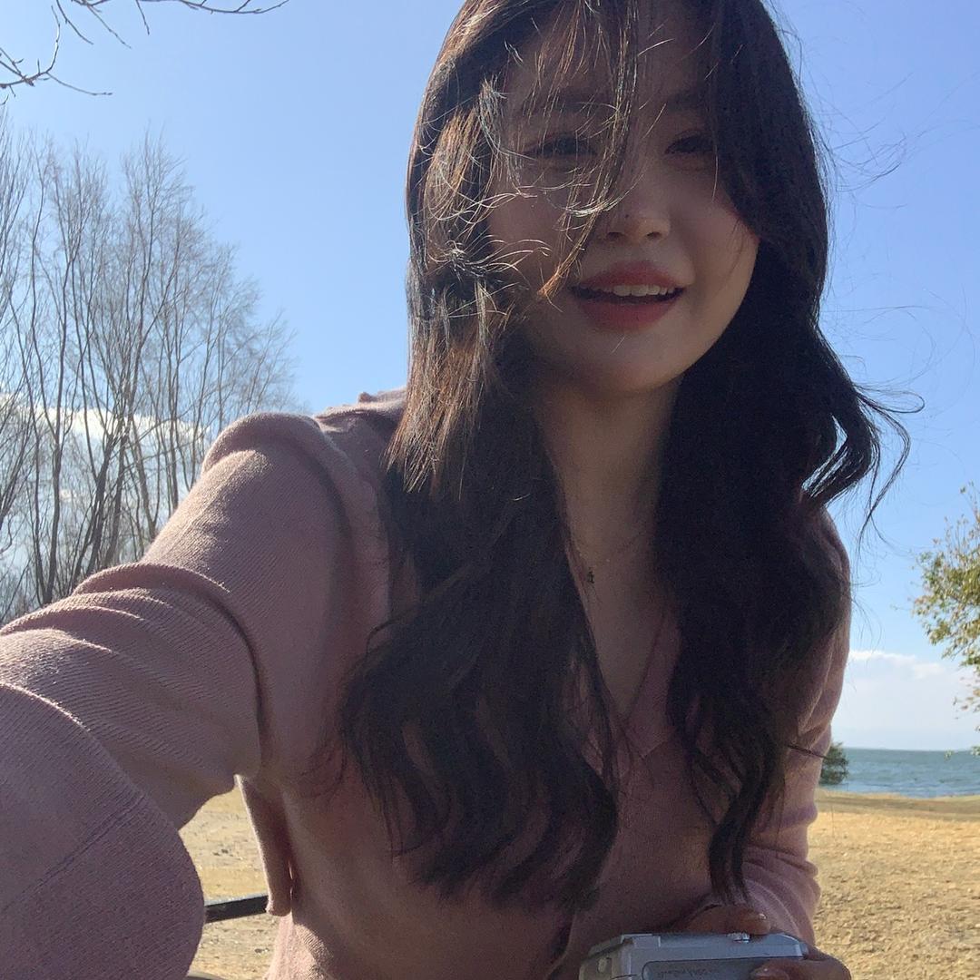 小葵花菜