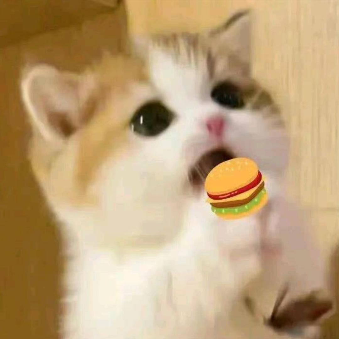 苏登橙