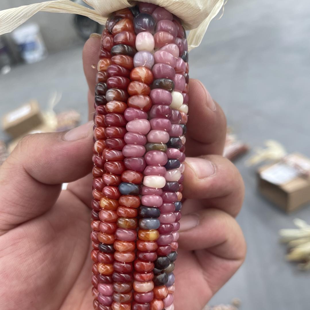 玉米小王子的店儿