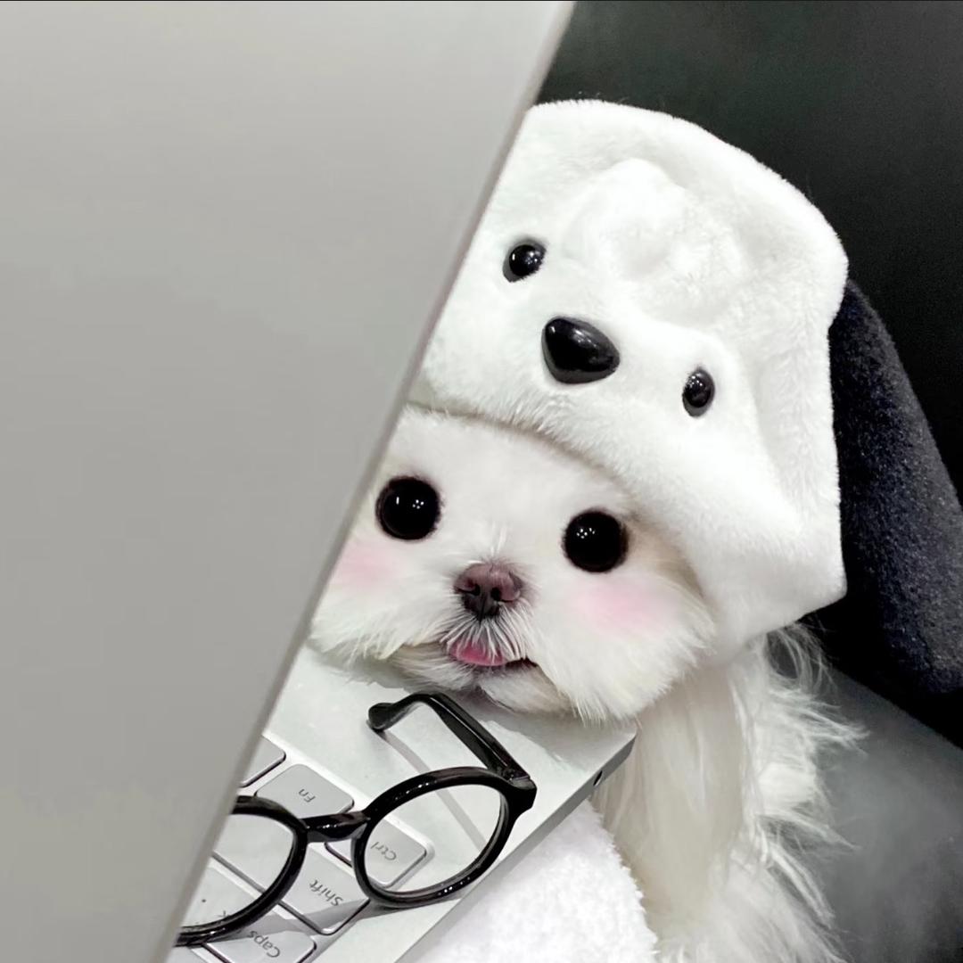 阿布布潮玩