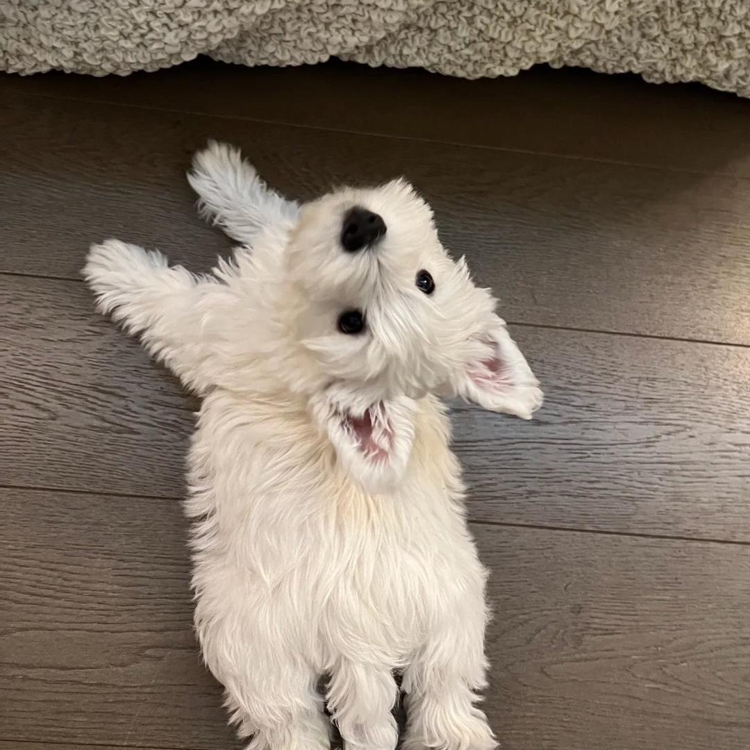 琅华珠宝3