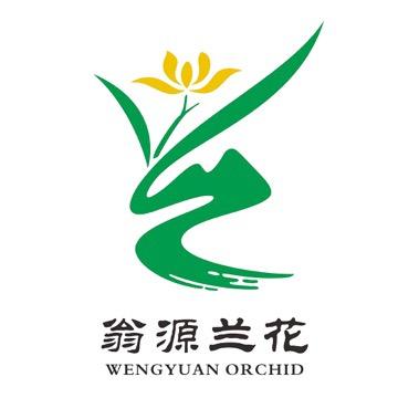 翁源兰花直供基地