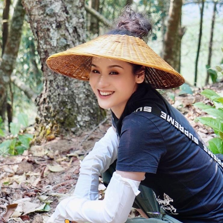 小凡•绿大树铁粉号