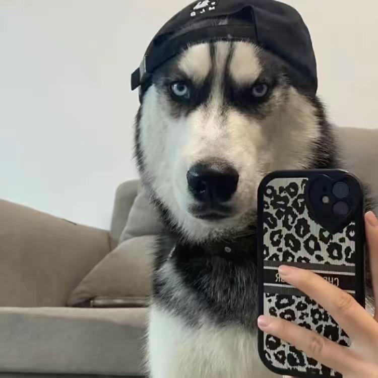 好人