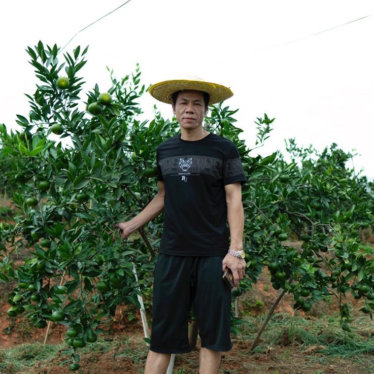 波哥鲜果