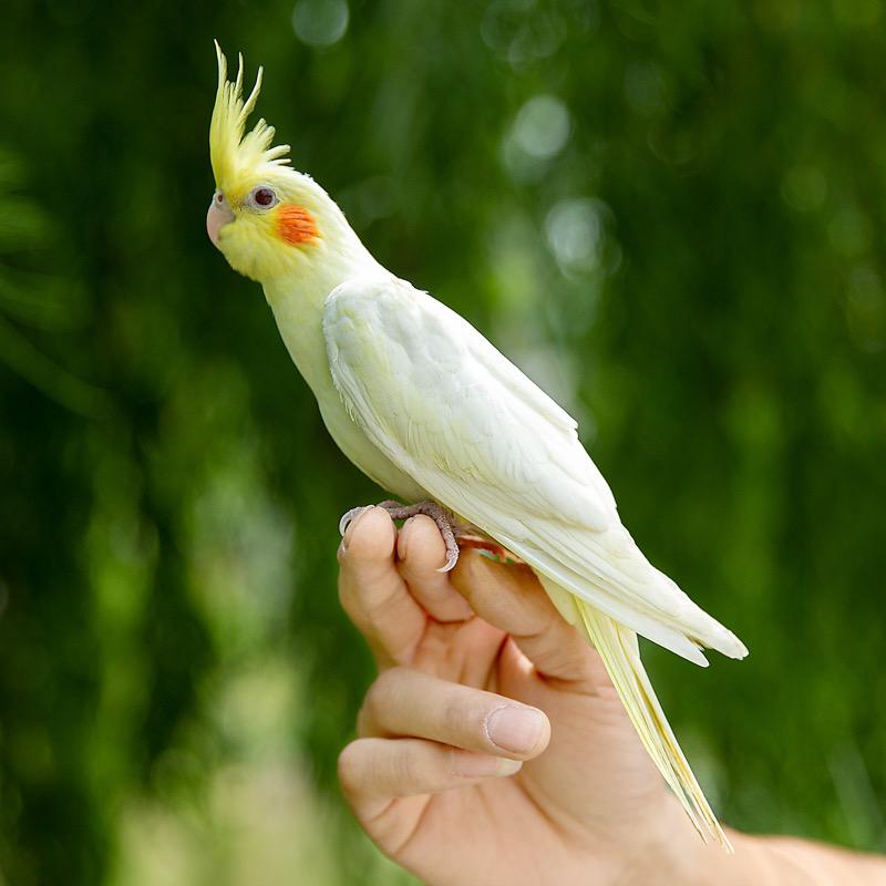 精舞门宠物乐园