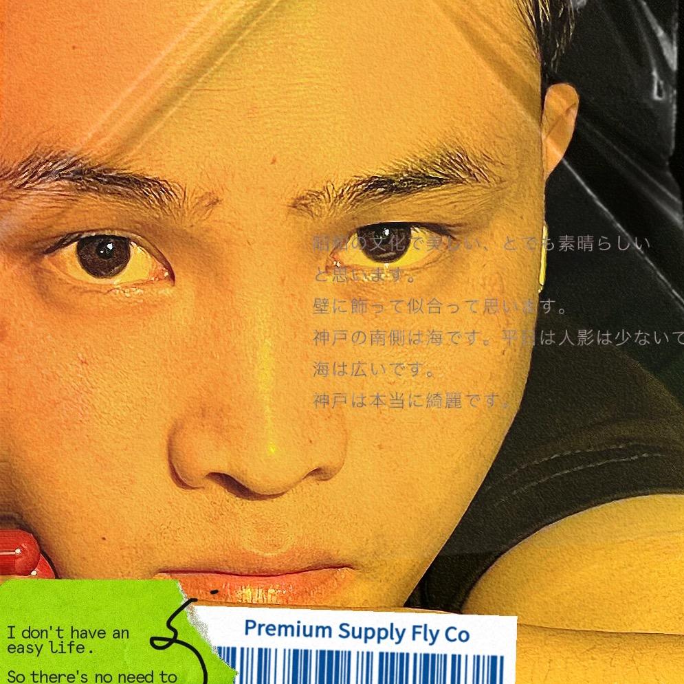 劉佳