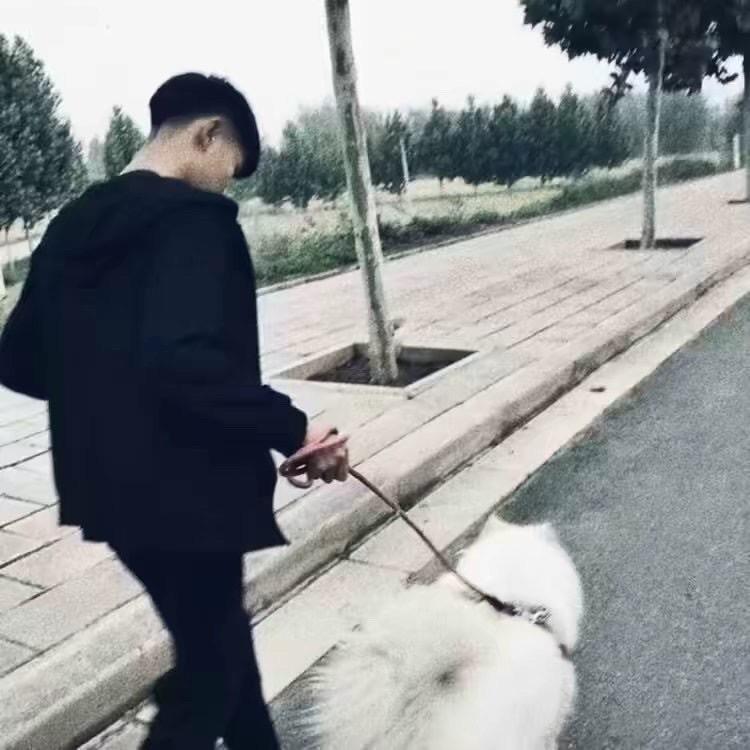 路人甲🚶🏻