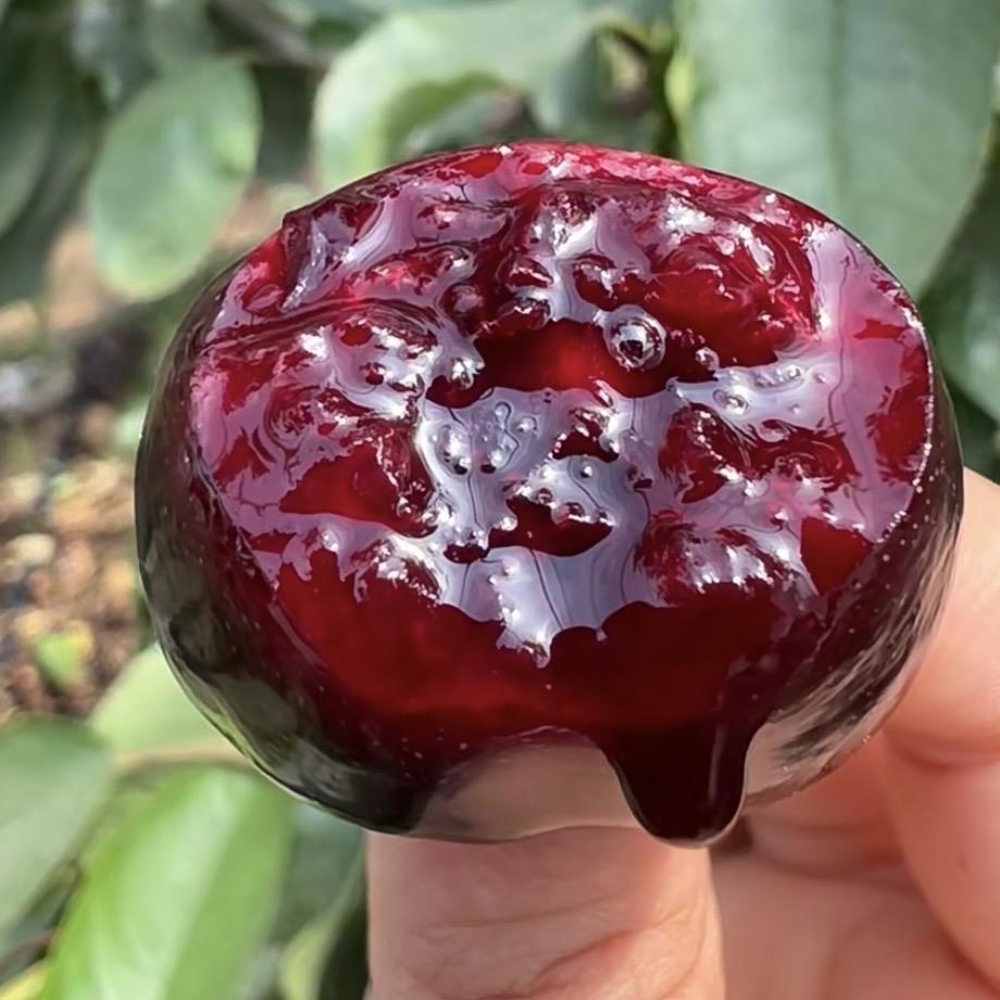 果臻美旗舰店车厘子季