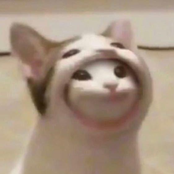 姜撞奶
