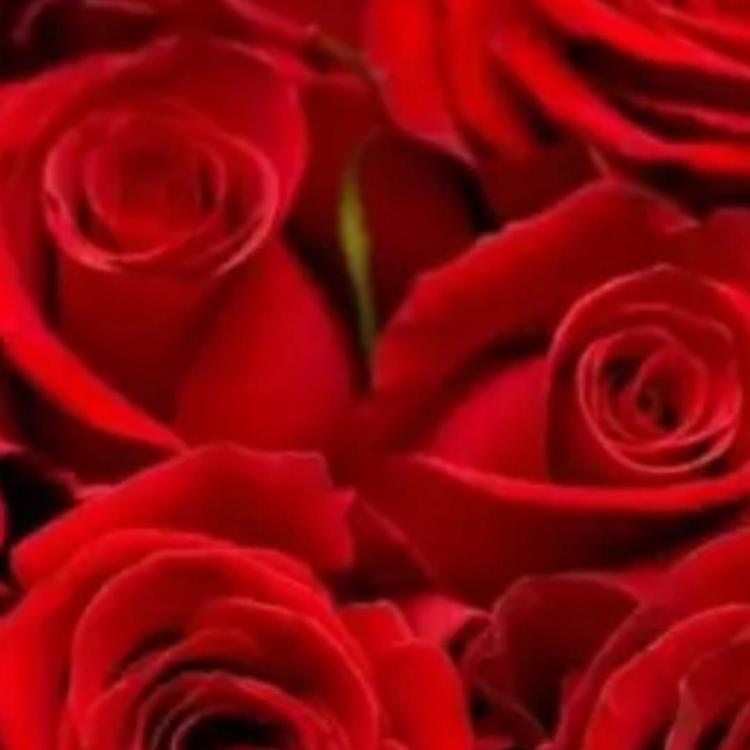 🌊四爷⁰⁸³¹