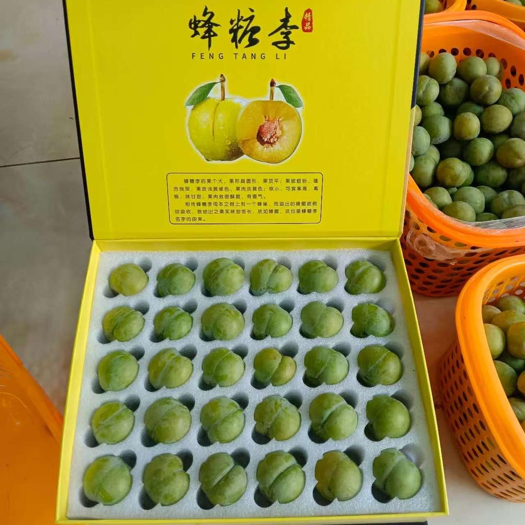 王伯伯家的果园