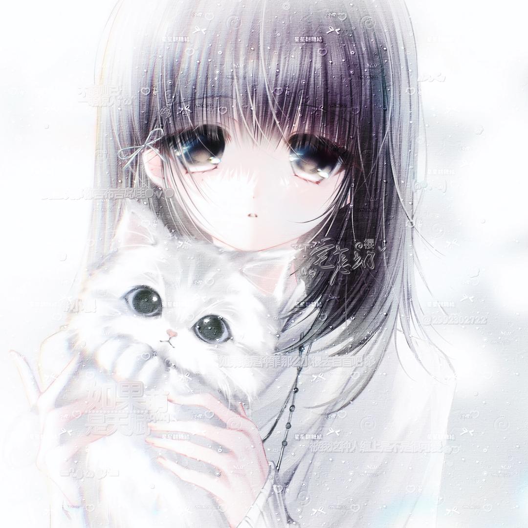玉山雪