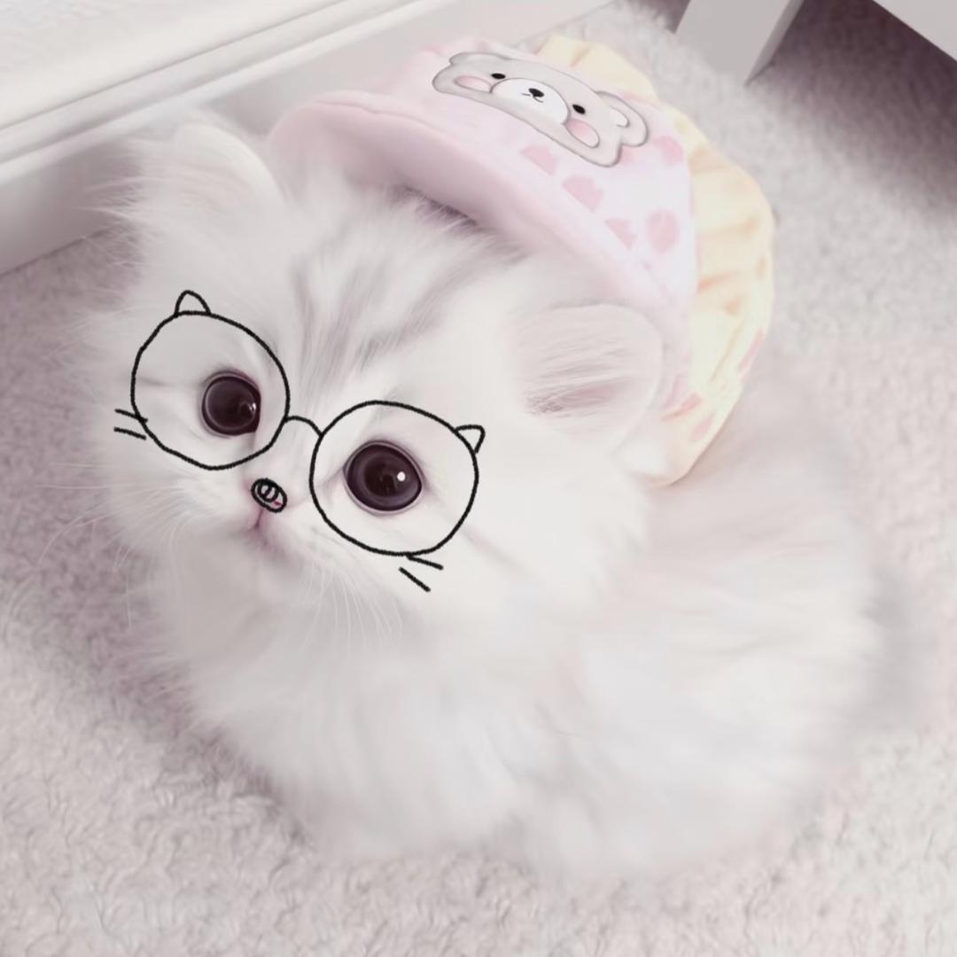 一涧雪（回C求推荐）