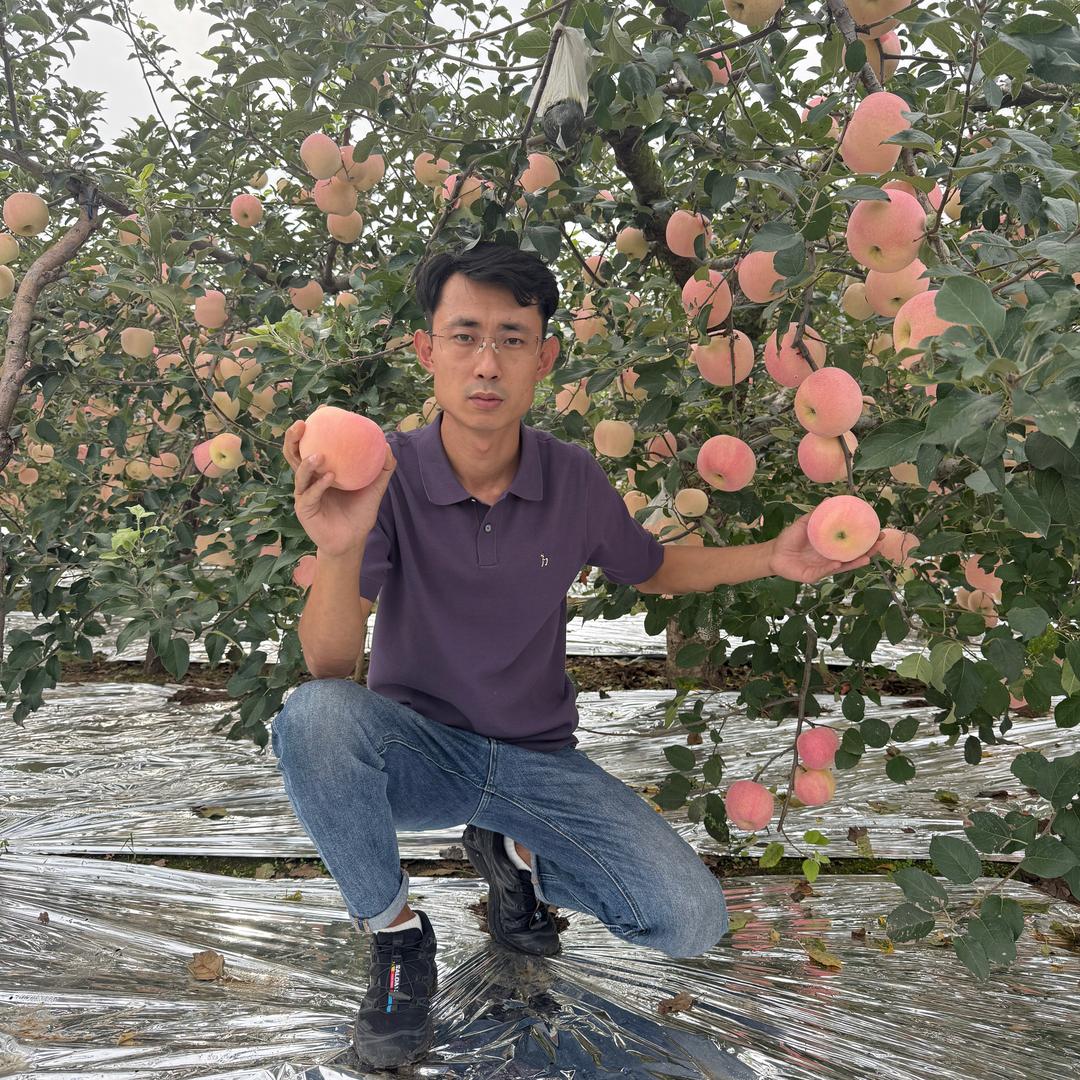 李群管理苹果真靠谱