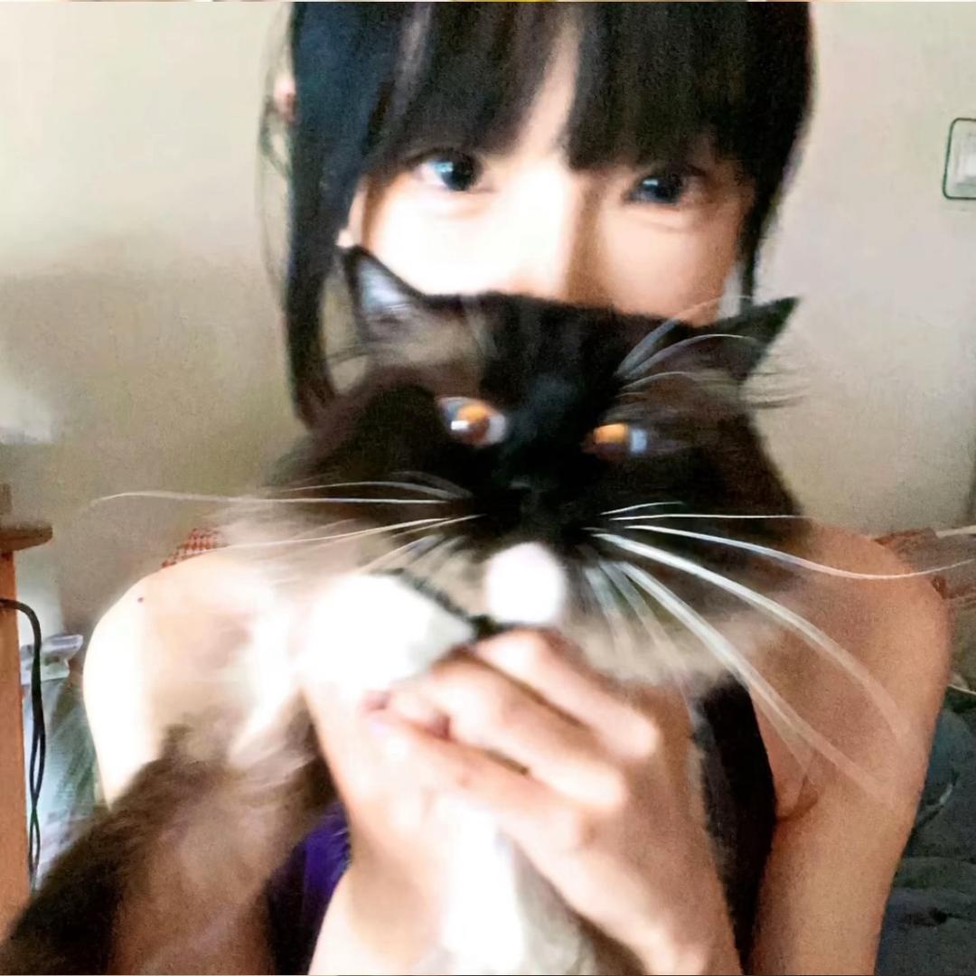 七七