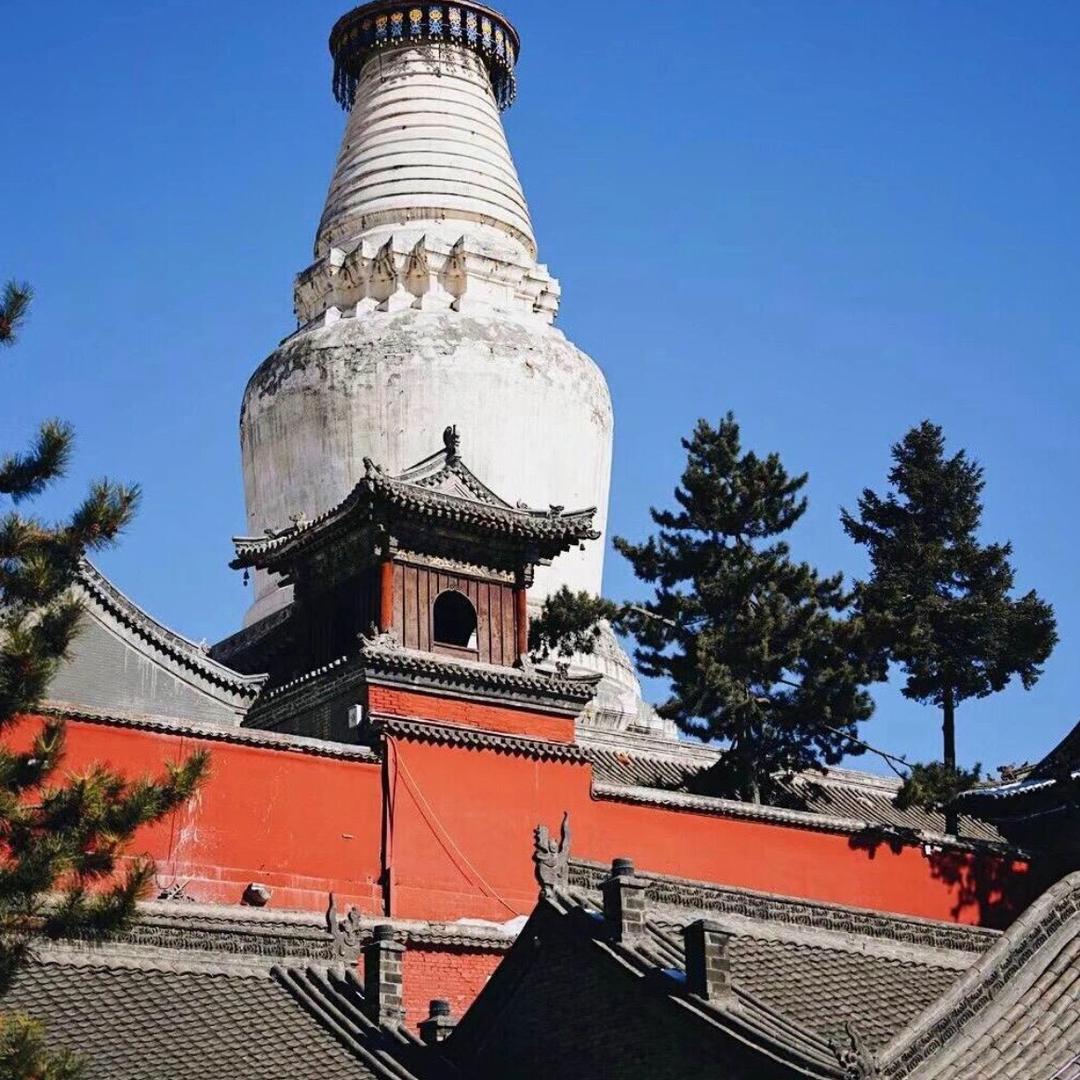 五台⛰️慧念（点灯🟰关注）