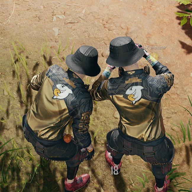 七七597（三角洲版)