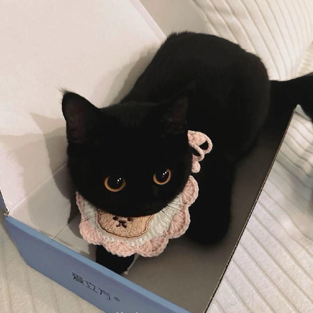 老王.
