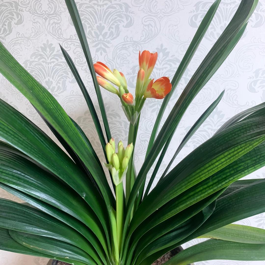 做自己喜欢💕的事情