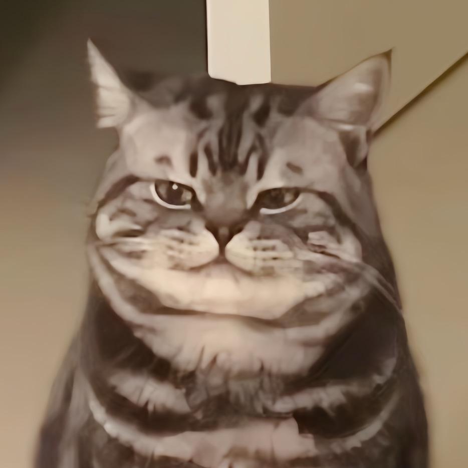 Kin
