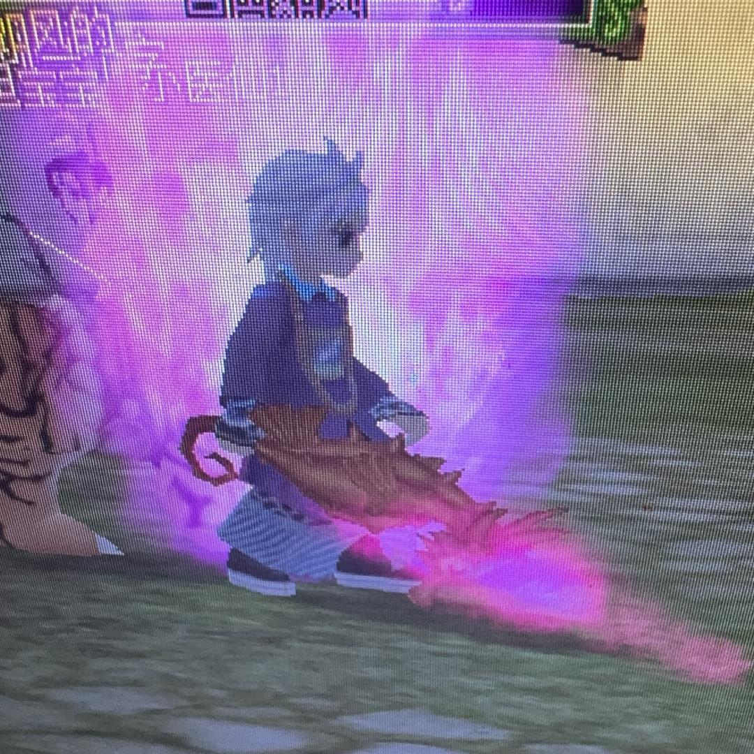 自由如风