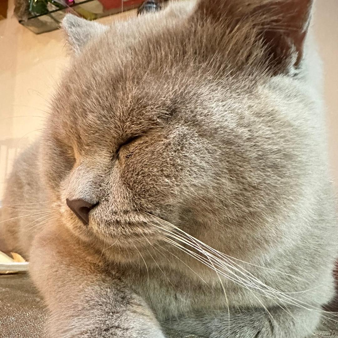 陳阔阔好捞🐈‍⬛