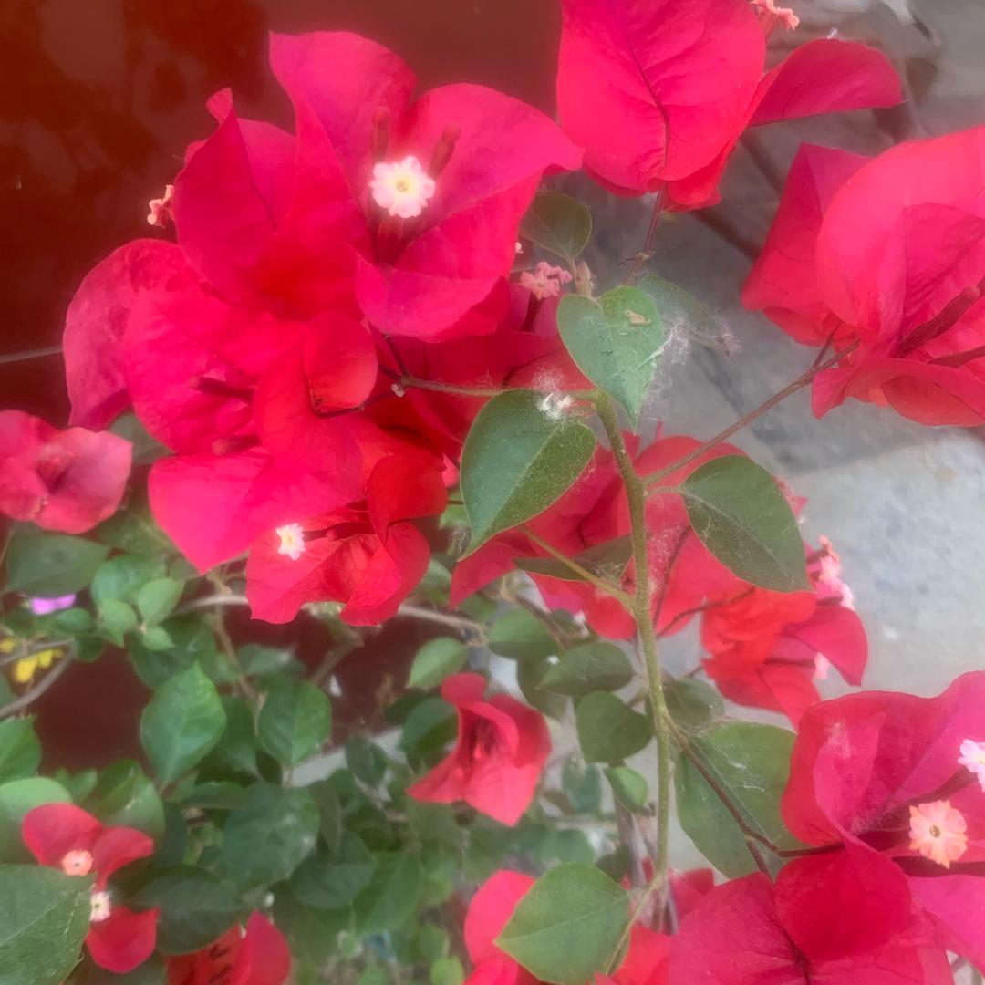 ✨🪡💐余生💕随心✨🪡