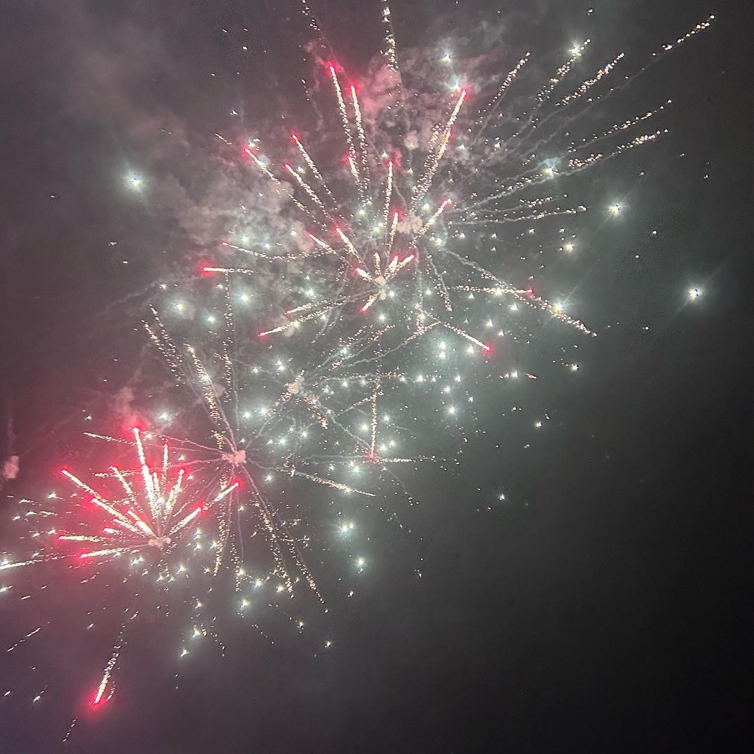 ☘️暖心向阳☘️