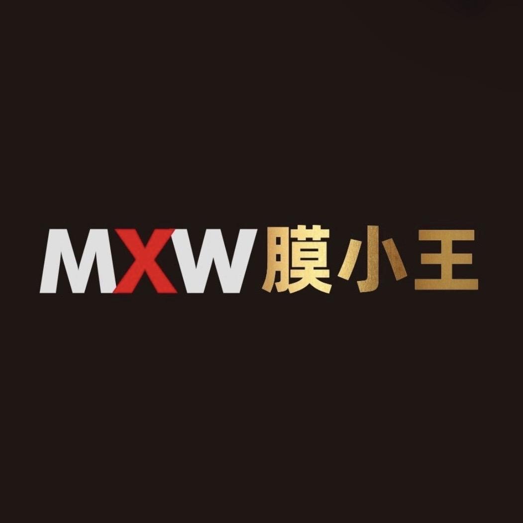 膜小王TPU车衣