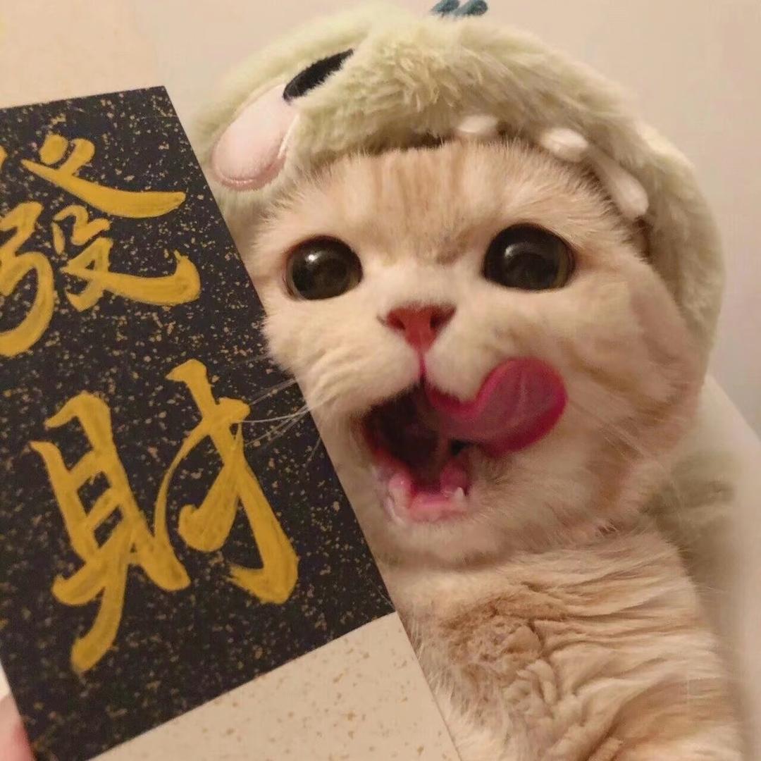 猫喵喵