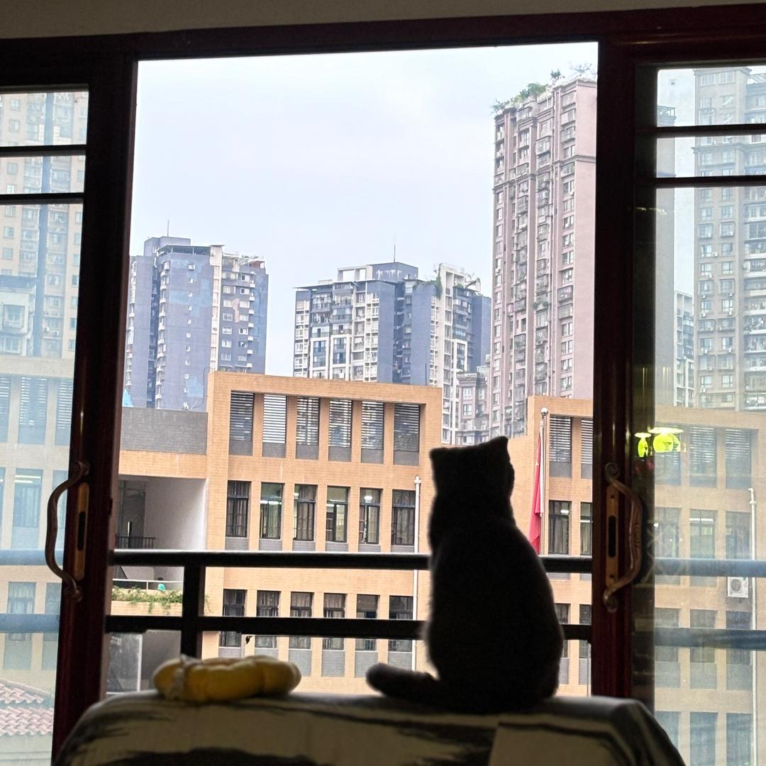 不许发脾气