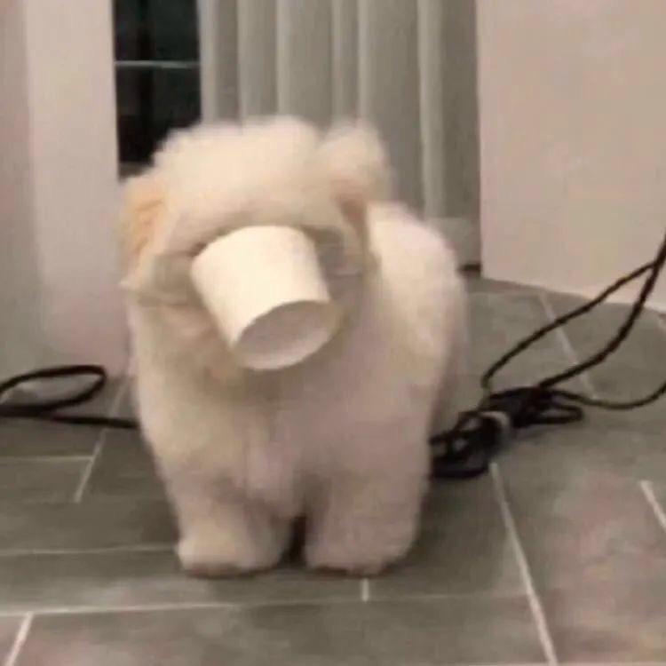 熊🦦（磕昏头版）