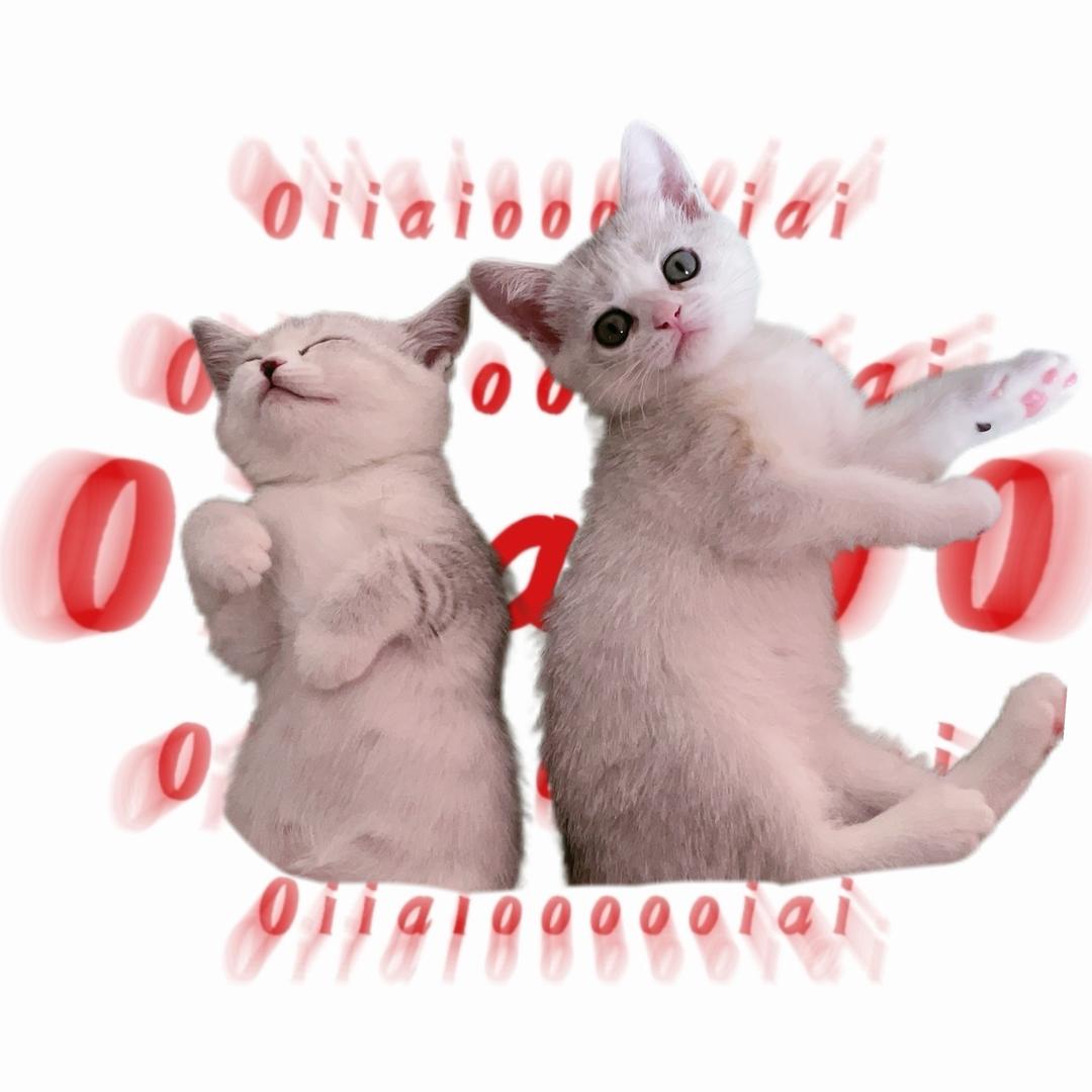 一二丫是双胞胎