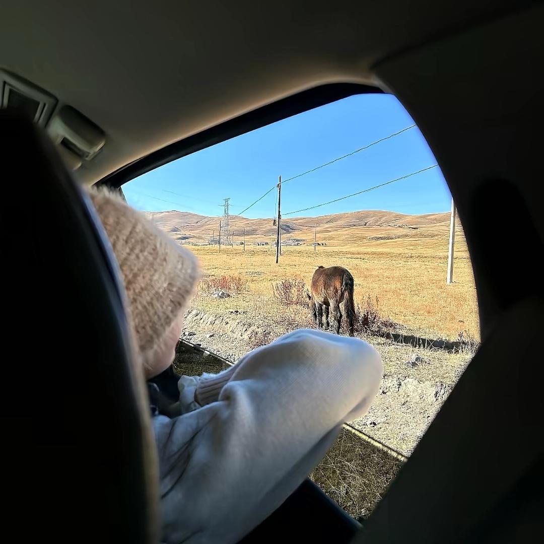 ᥫᩣ𝙡̶̶̶𝙤̶̶̶𝙫̶̶̶e Z