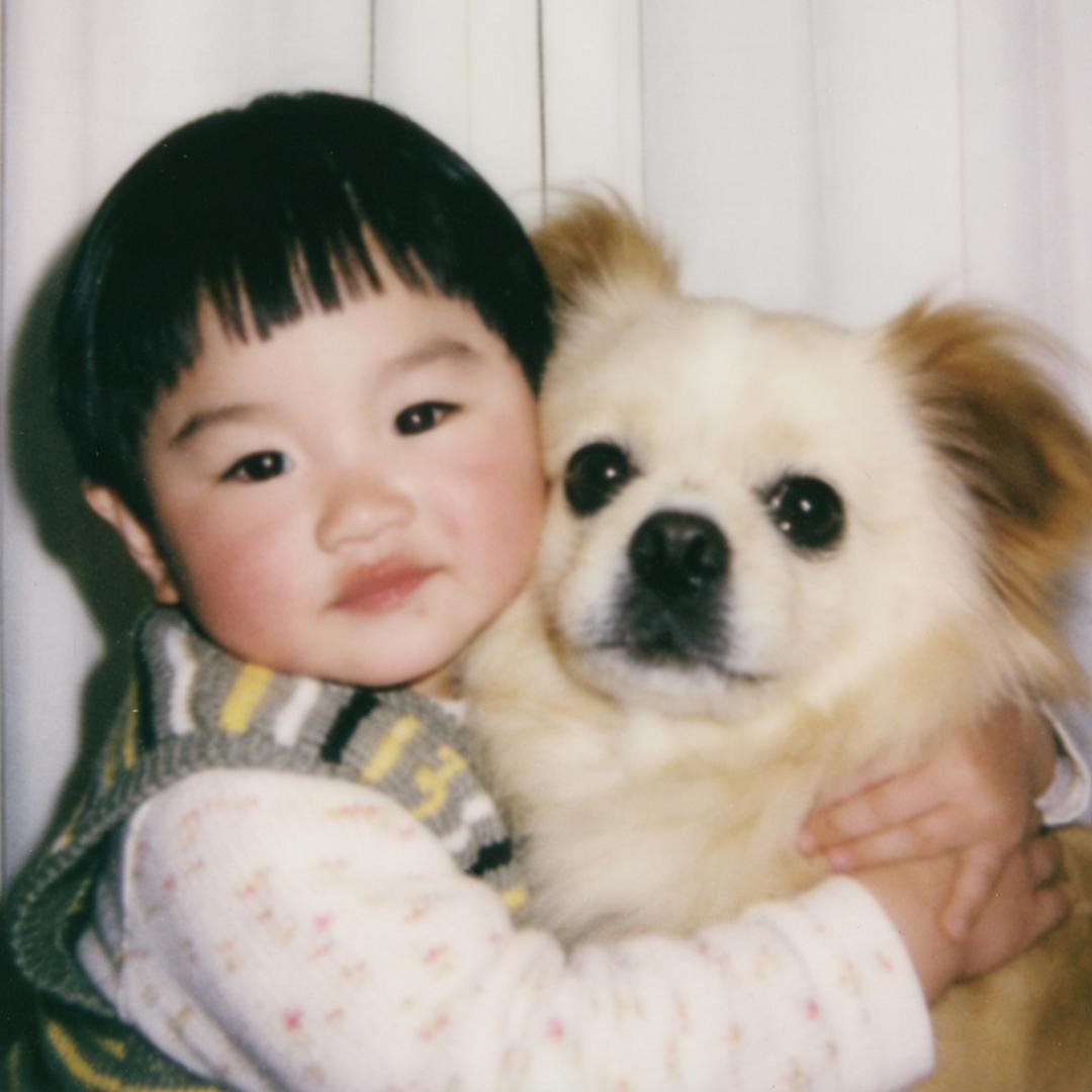 下水道里的最后一只老鼠