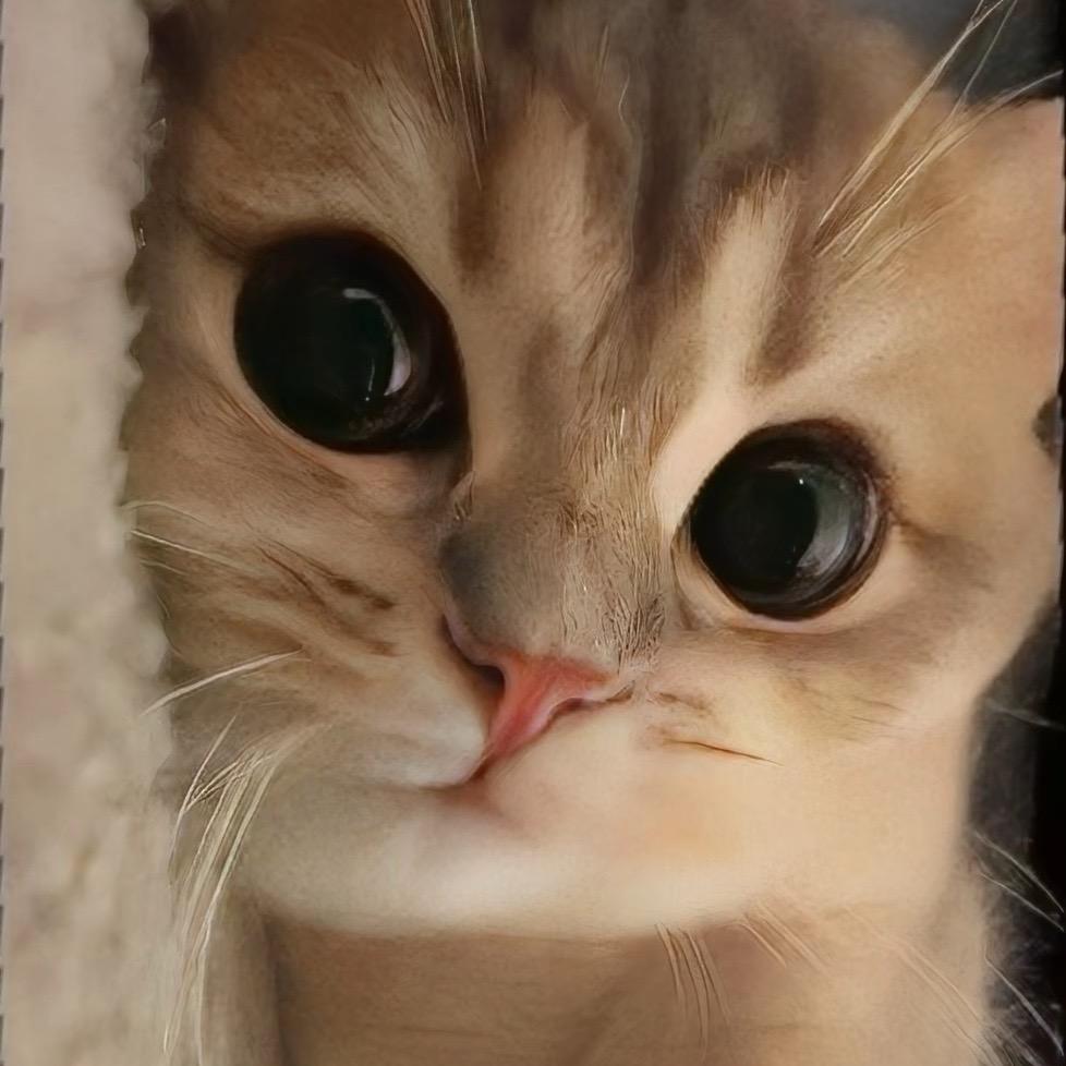 1111111111