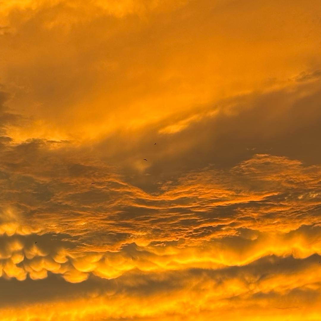 不发脾气只发财ོ