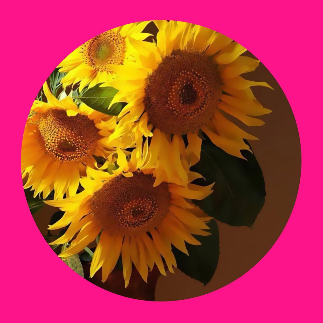 天锚美妆正品经营个体店