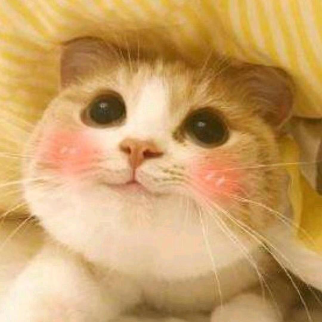 万象春和