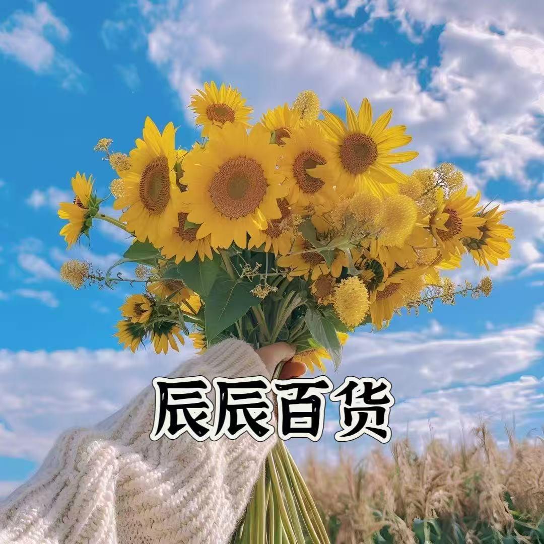 辰辰百货优选