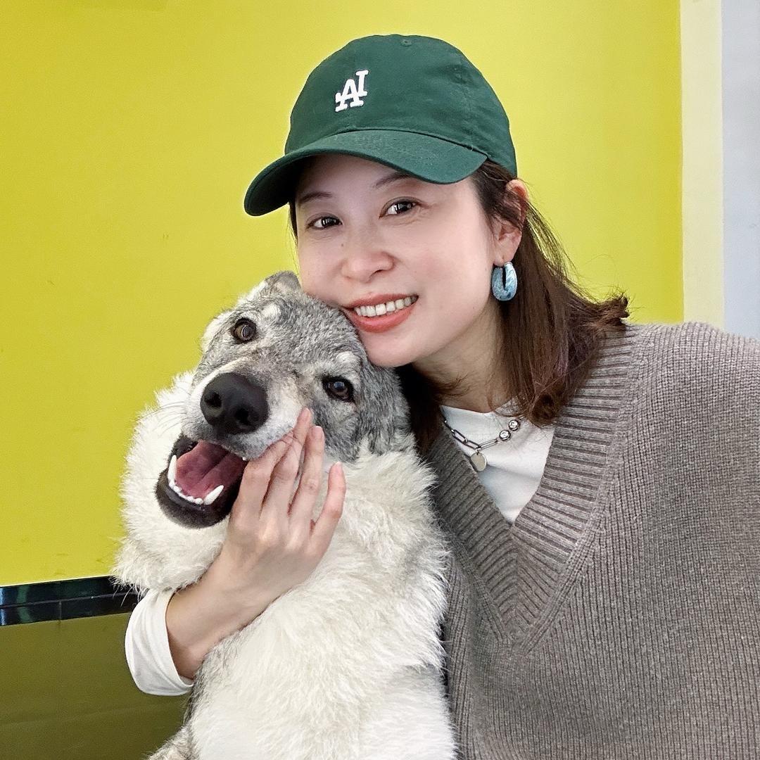 痞子兰
