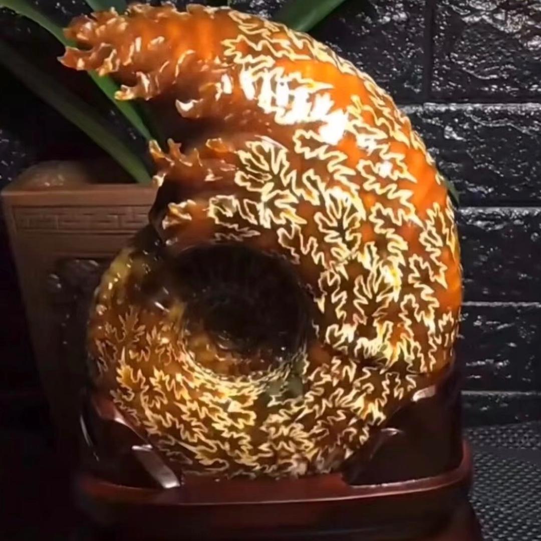 月亮螺化石