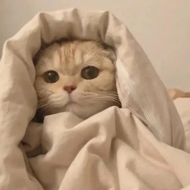 玛卡巴卡的养乐多